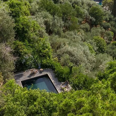 In - With 5 Bedrooms And A Splendid View Portofino